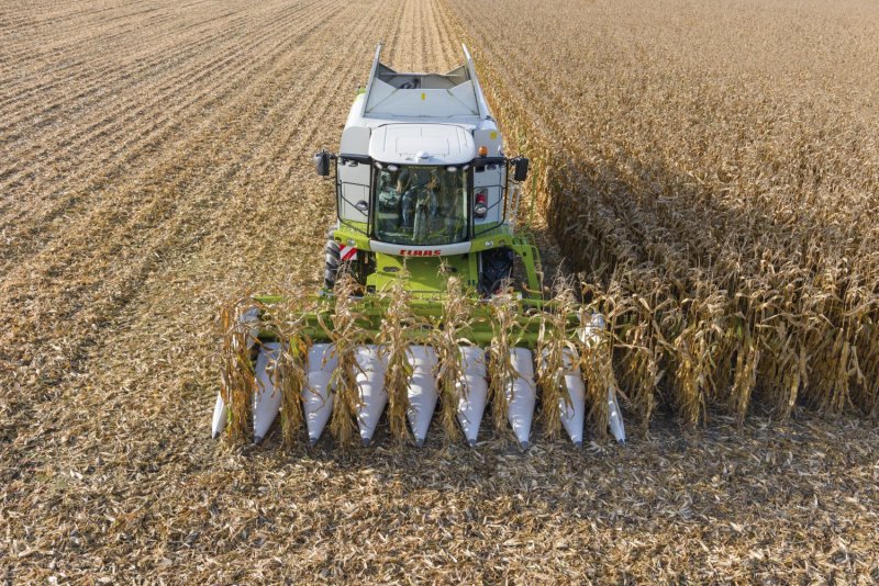Уборка кукурузы на силос (CLAAS, жатка Orbis 600)