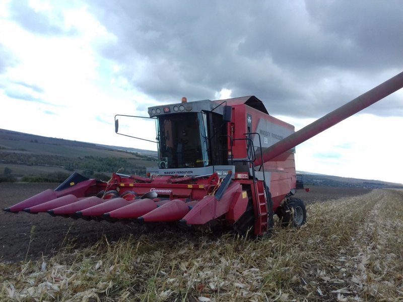 Кукурузная жатка Massey Ferguson
