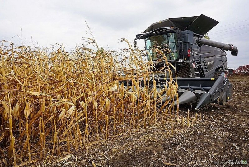 Комбайн Fendt 6052 e с кукурузной жаткой