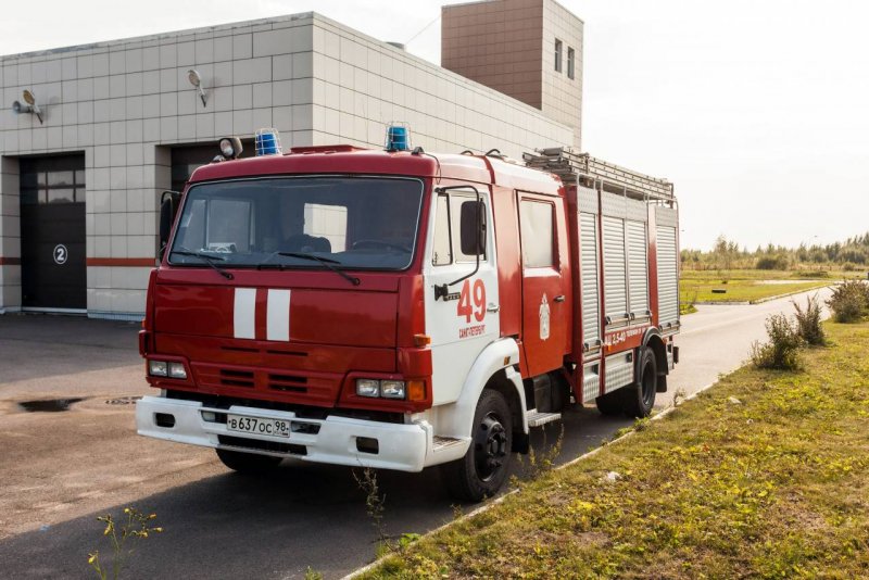 Розенбауэр пантера