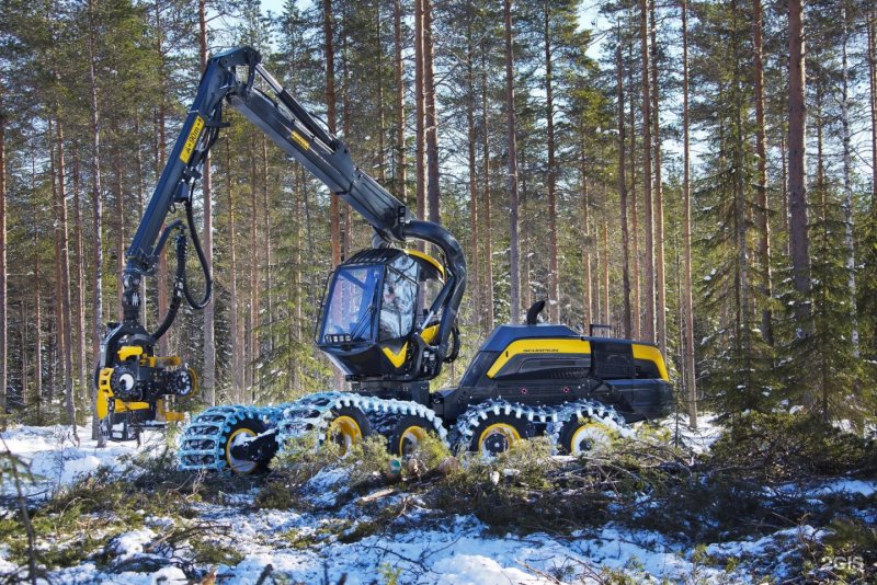 Cat 9000 форвардер