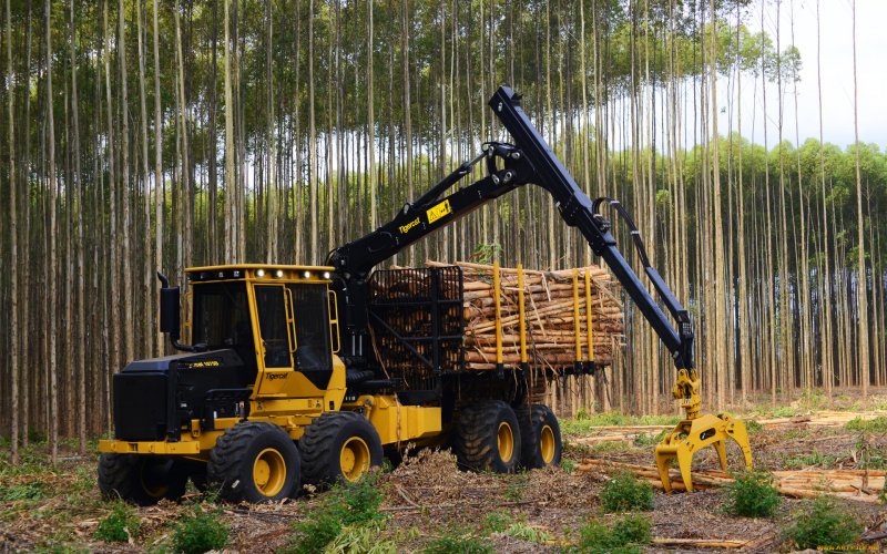 Tigercat 480 мульчер