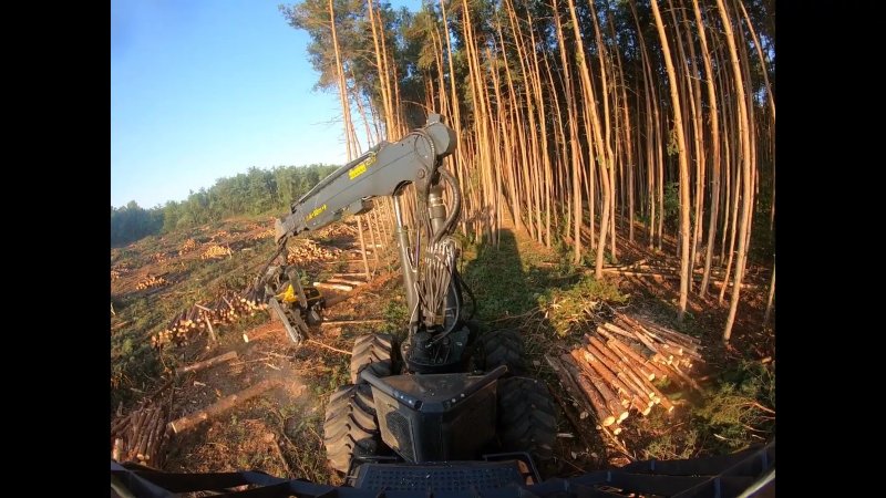 Харвестерная головка Komatsu