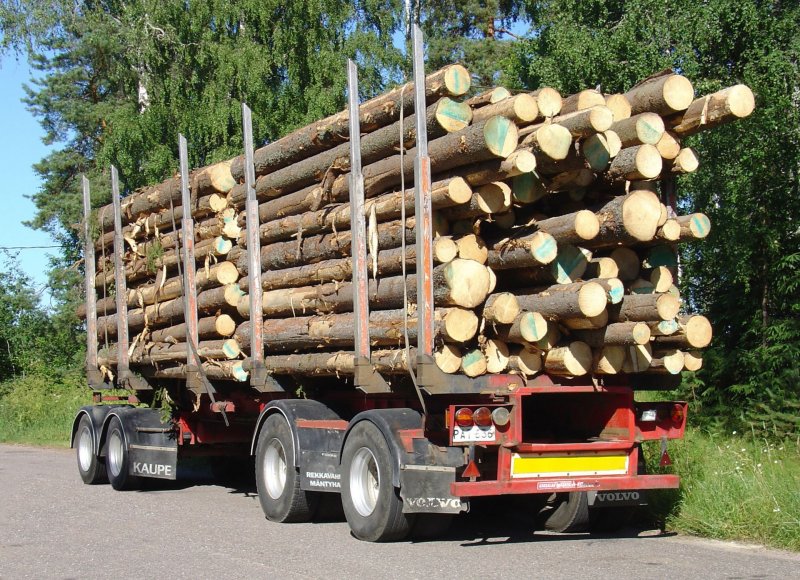 Лес кругляк КАМАЗ лесовоз