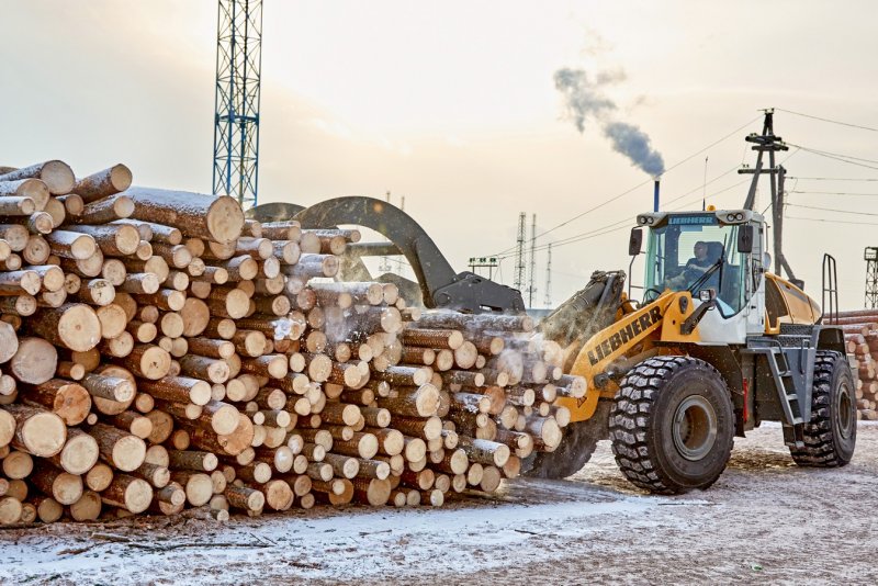Погрузка леса Krpan KL 2500т