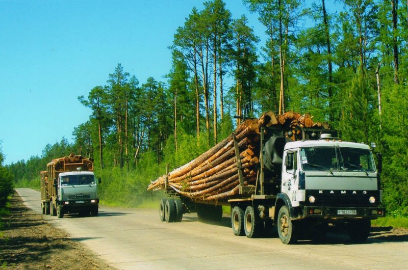 Урал 4320 хлыстовоз