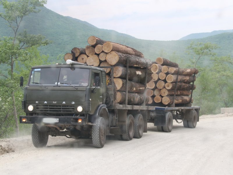 Вывозка древесины
