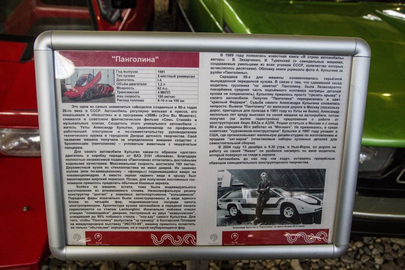 Александр Кулыгин Панголина