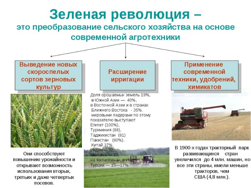 Навесное сельхоз оборудование для трактора МТЗ 82