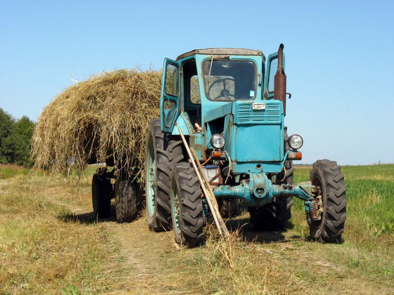 МТЗ 80
