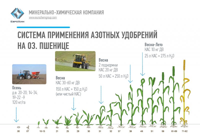 Хлопок Узбекистан пахта