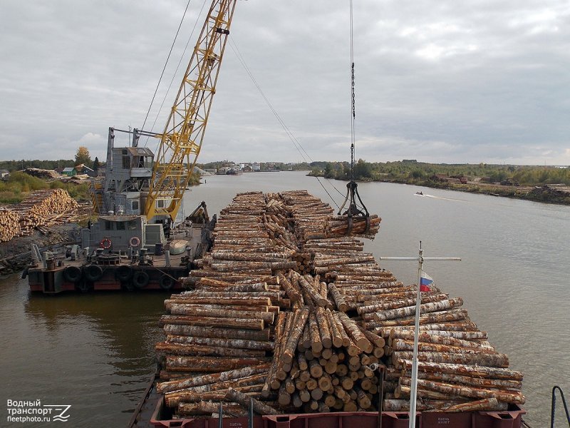 Морские грузовые суда балкеры
